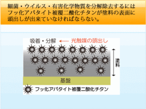 塗料化した時、光触媒がどの様にいて、頭出しが出来ている事が重要です