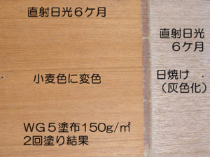 WG5塗布後は灰色化せず防水状態と日焼け防止